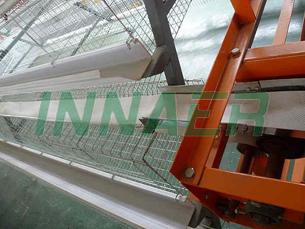 Automatic Egg Collect Machine