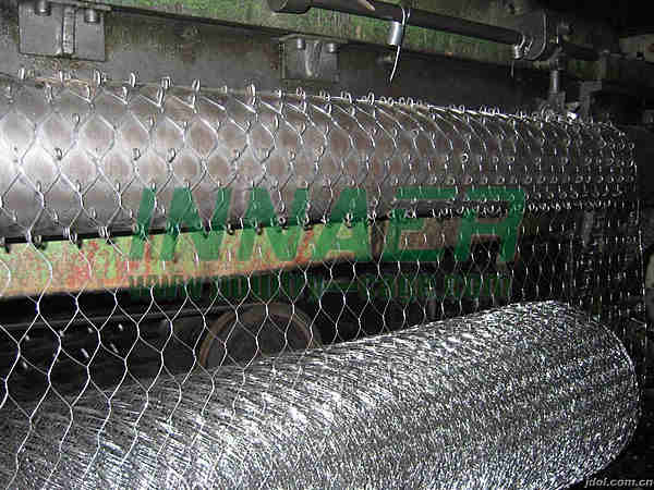 Chicken Wire Mesh